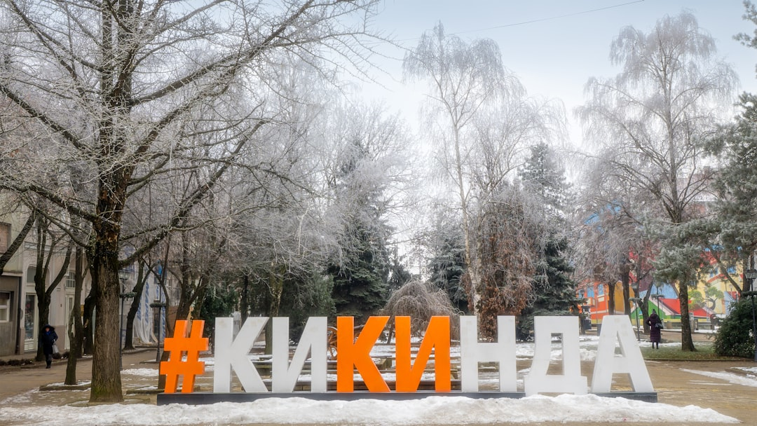 Zarif yemek masası düzeni